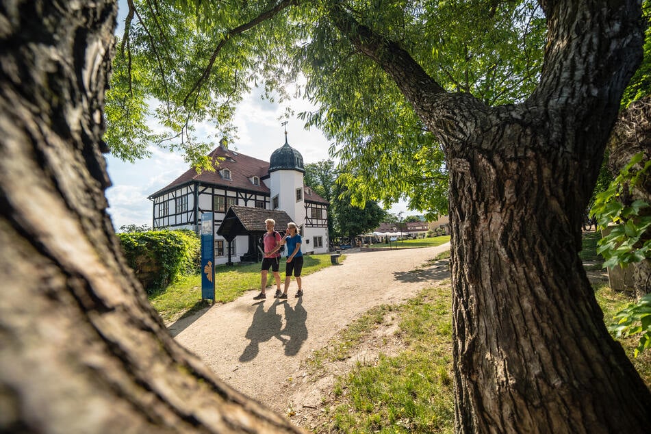 Im Weingut Hoflößnitz lohnt ein "Boxenstopp".