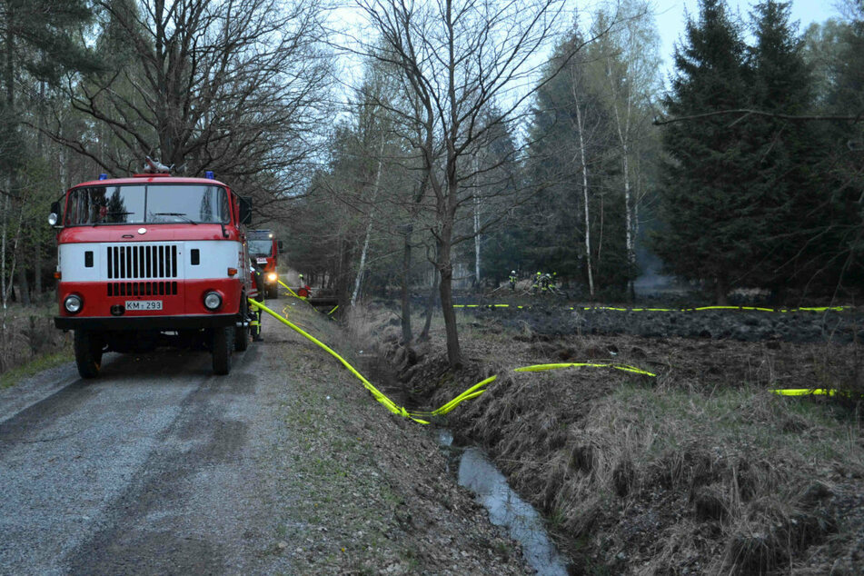 Zum Einsatz am Freitag wurden zahlreiche Wehren und Fahrzeuge herbeigerufen.