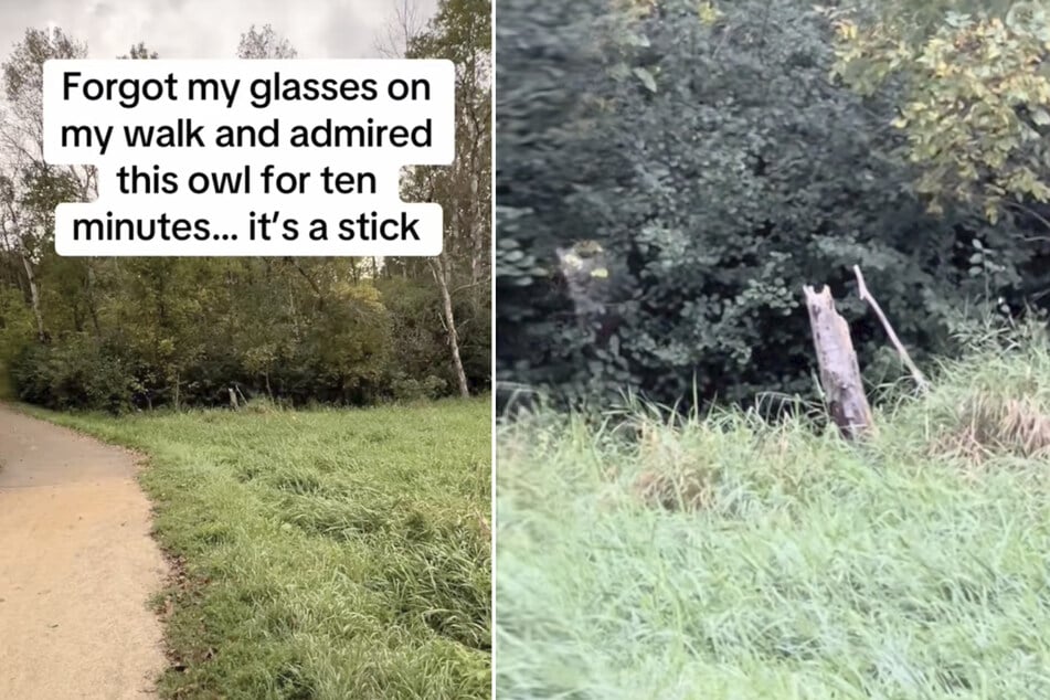 A woman was out for a stroll when she came across a rare wild animal on the side of the path... or so she thought!