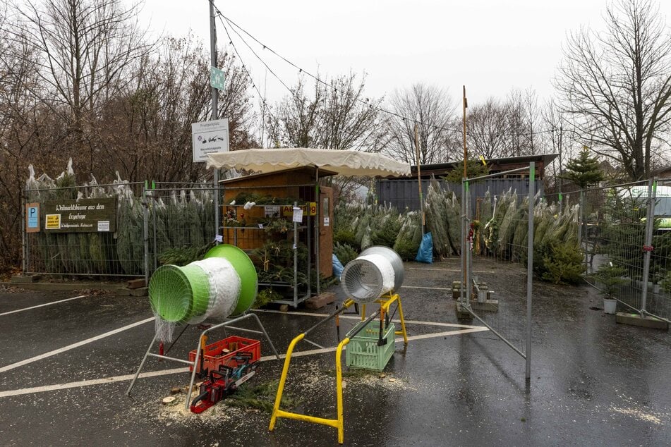 Gärtnermeister Jens Süß hat seinen Stand am Zelleschern Weg 24 seit 30 Jahren und erfreut auch heute noch Kunden der ersten Stunde.