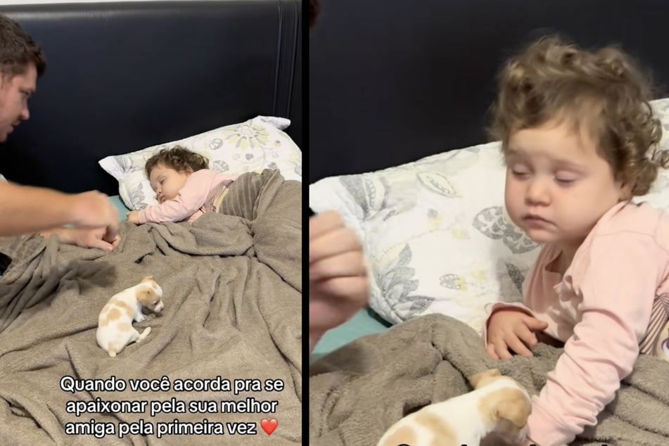 Die kleine Maria Cecília wird im Video nur schwer wach, als ihre Eltern ihr den Welpen übergeben wollen.