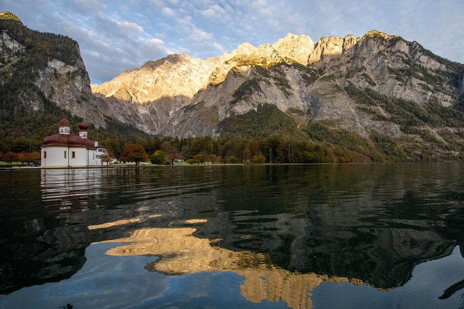 Auch im Königssee könnte die Muschel heimisch werden.