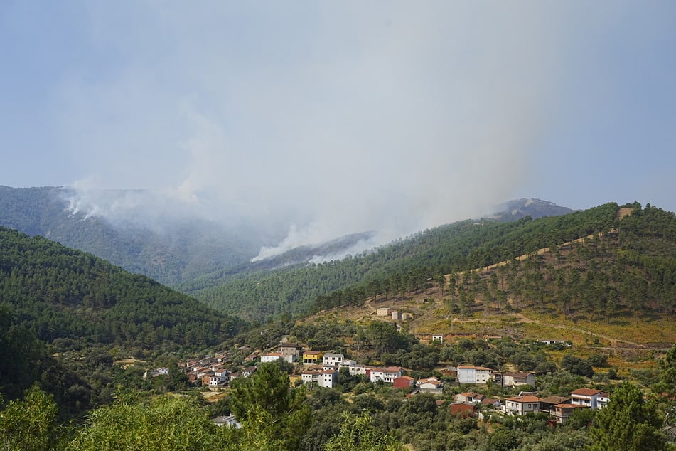 Die verheerenden Waldbrände in Spanien machten hektarweise Land dem Erdboden gleich.