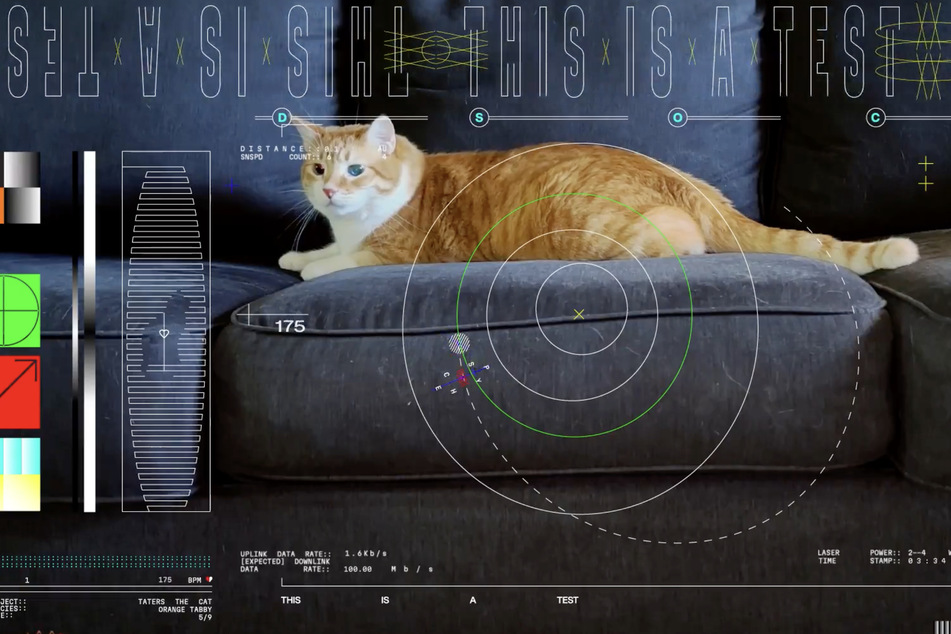 NASA streams cat video from deep space in a-meow-zing experiment!
