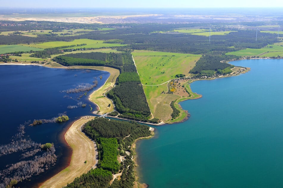 Zwischen Sedlitzer und Partwitzer See will Center Parcs bis zu 700 Ferienhäuser bauen.