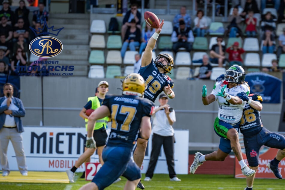 Nur Remis, aber das Ergebnis interessiert die Monarchs nicht