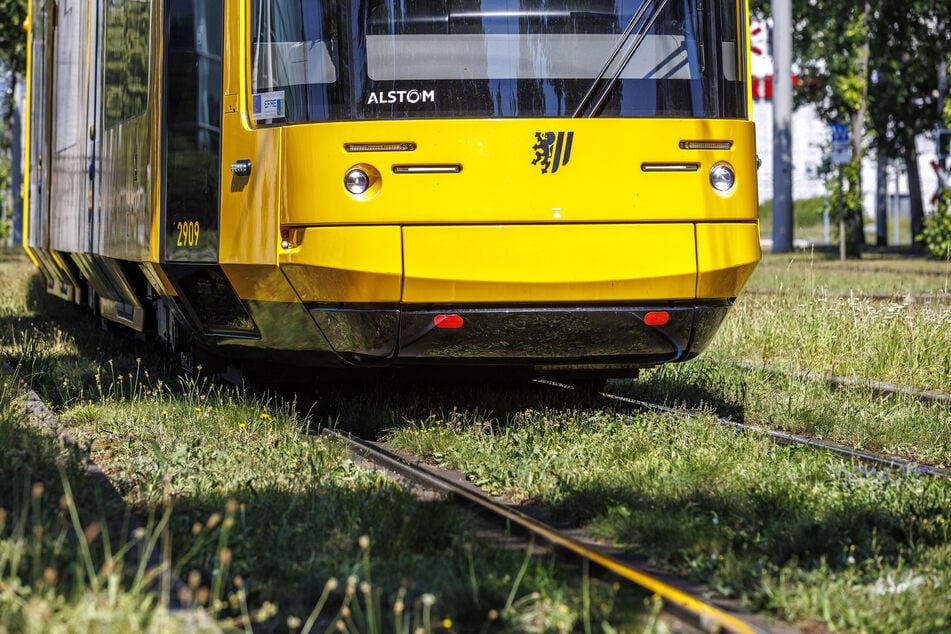 Aufgrund des Unfalls mussten mehrere DVB-Linien vorübergehend umgeleitet werden.