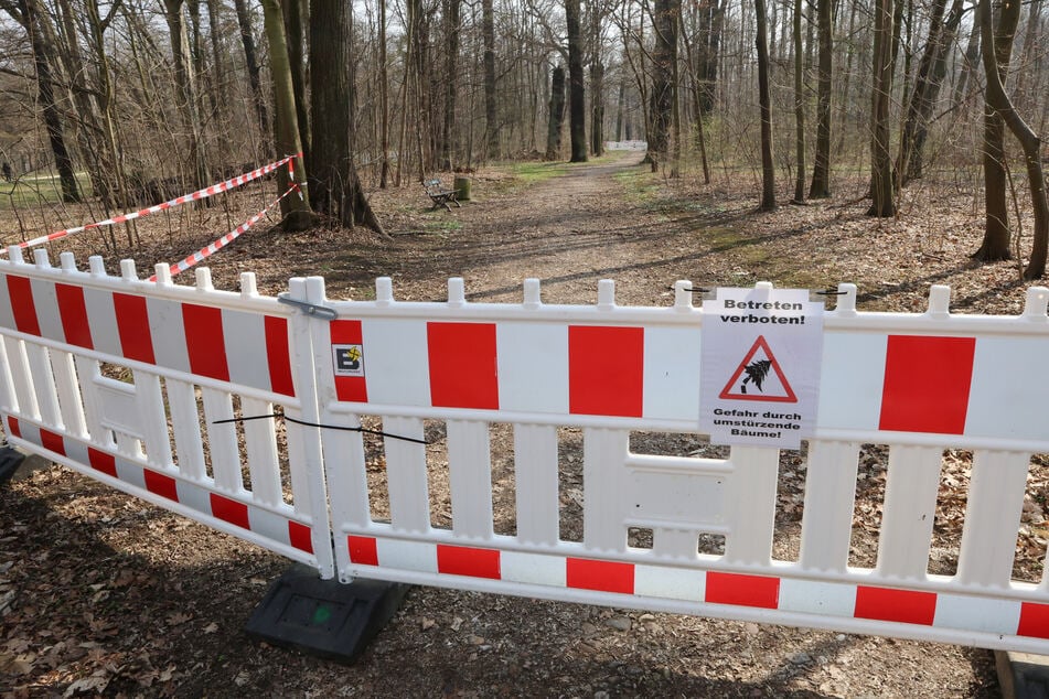 Achtung: "Betreten verboten! Gefahr durch umstürzende Bäume!"