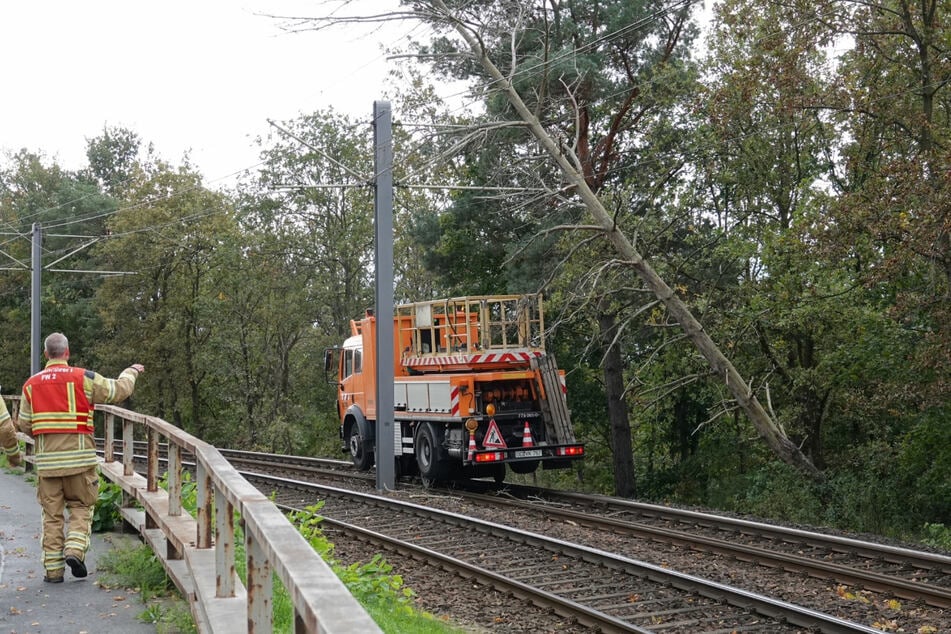 Am Industriegelände krachte ein Baum auf die Straßenbahn-Oberleitung.