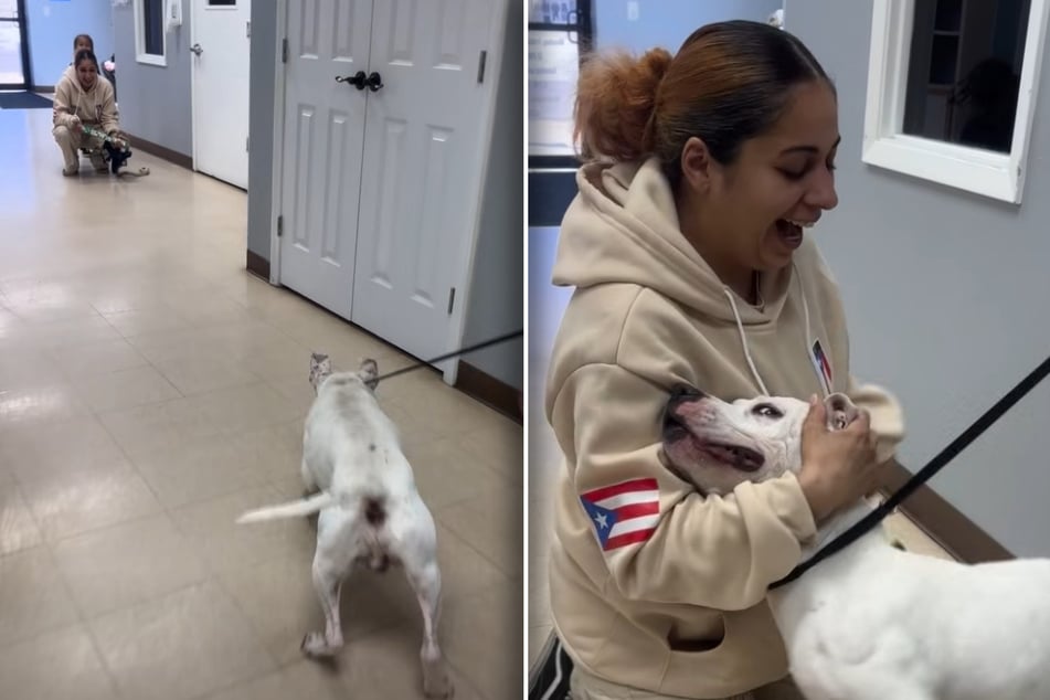 Großes Staunen und große Freude in einem: Yayos Frauchen und ihr Hund sind völlig außer sich, als sie sich nach zwei Jahren der Ungewissheit wiedersehen.