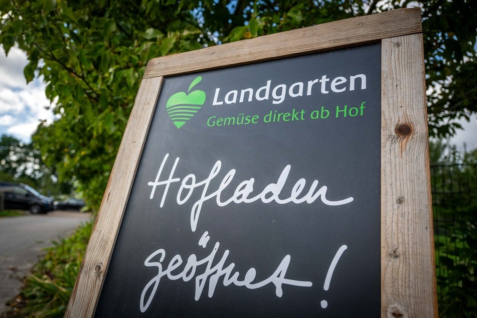 Neben Kürbissen ist im eigenen Hofladen weiteres typisches Herbst- und Wintergemüse erhältlich.