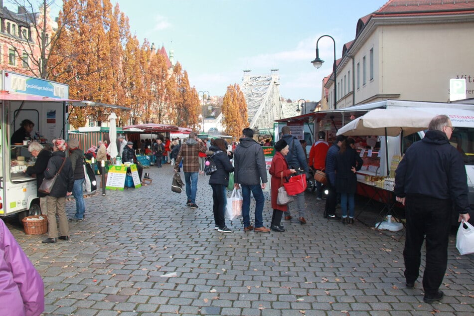 Der Wochenmarkt am Schillerplatz wird von historischen Gebäuden und dem "Blauen Wunder" gesäumt.