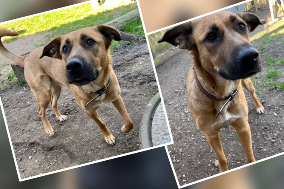 Lacey sucht mit zuckersüßen Bewerbungsfotos nach den perfekten Menschen.