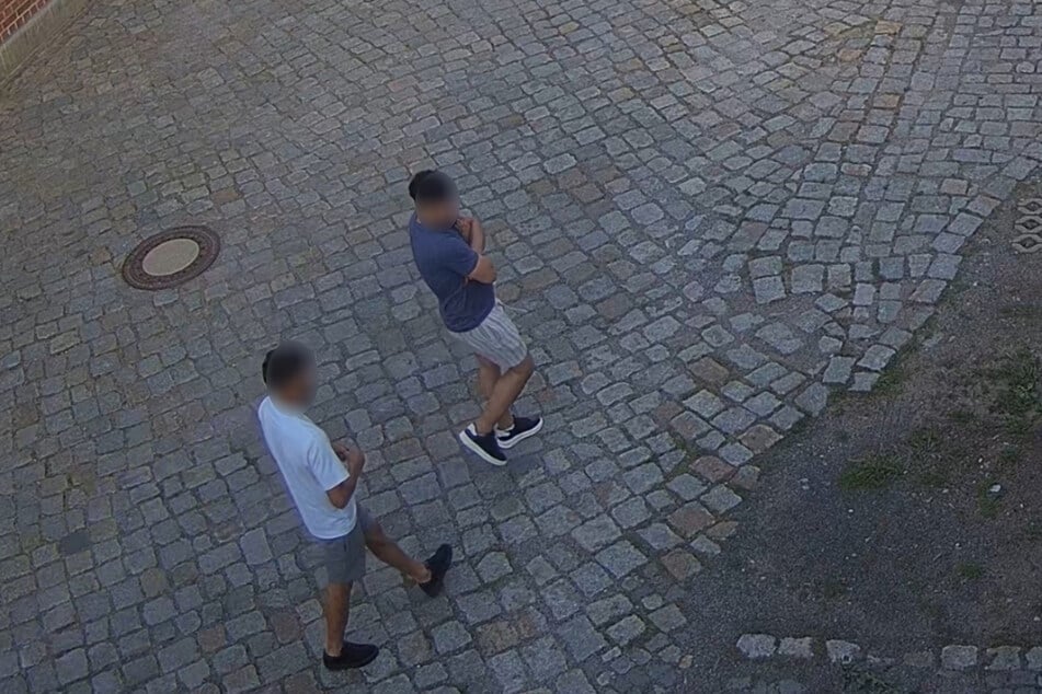 Auch am Tag trieben sie sich schon auf dem Gelände herum.