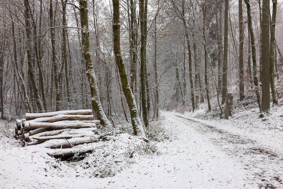 Vermisste Klinikpatientin stark unterkühlt im Wald gefunden