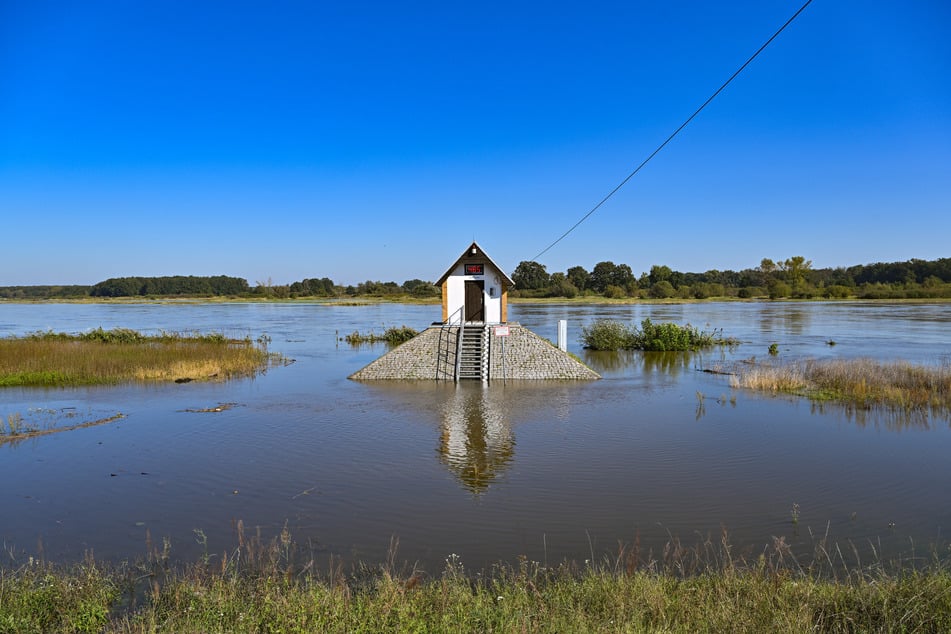 In Ratzdorf (Landkreis Oder-Spree) beträgt der Wasserstand des deutsch-polnischen Grenzflusses Oder aktuell 4,84 Meter.