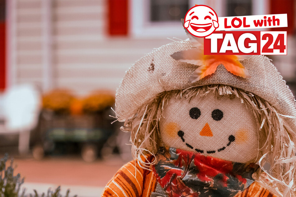 Today's Joke of the Day is a scarecrow silly.