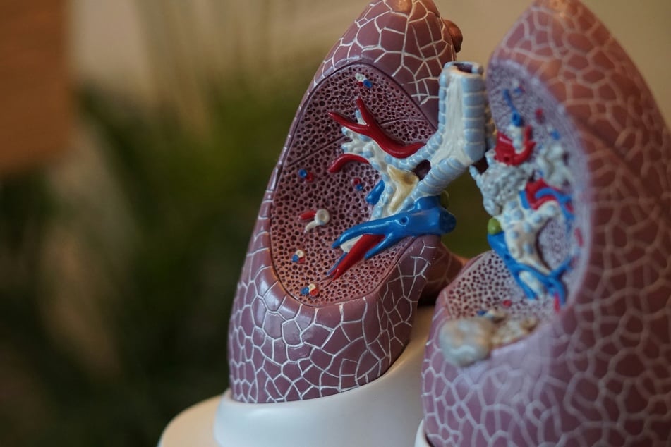 Air pollution fuels lung cancer among non-smokers, reports new medical study