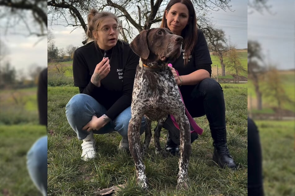 Tiere mit Behinderung haben es bei der Vermittlung nicht leicht.