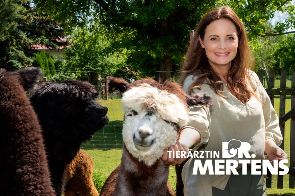 Darum fliegen "Tierärztin Dr. Mertens" und "IaF" heute aus dem Programm