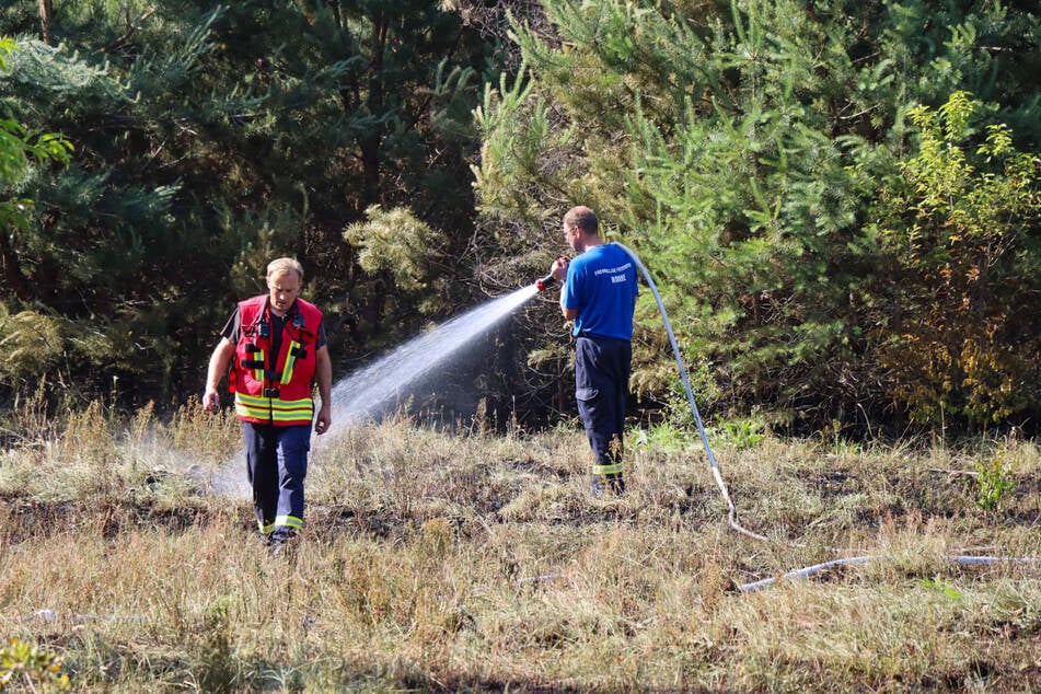 Stundenlang musste die Feuerwehr gegen den Waldbrand ankämpfen.