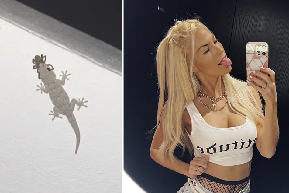 Die Partysängerin Isi Glück (30) postete ein tierisches Foto in ihrer Instagram-Story.