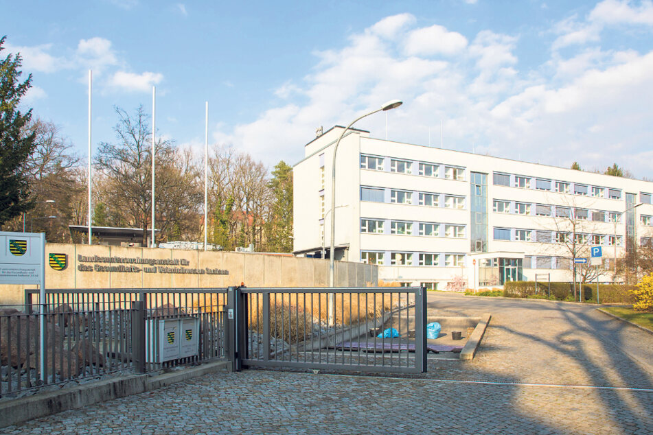 Hier in der Landesuntersuchungsanstalt in Dresden laufen alle Labortests der Gesundheitsämter zusammen.