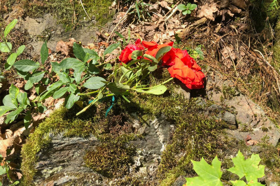Eventuell Anwohner legten diese roten Rosen am Fundort des Säuglings ab.