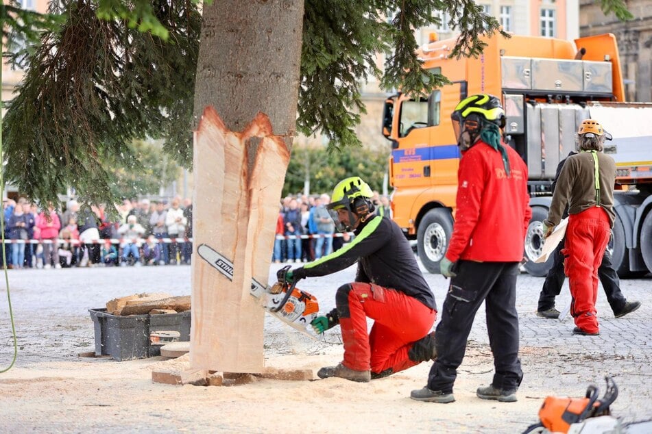 ... und zurechtgesägt.