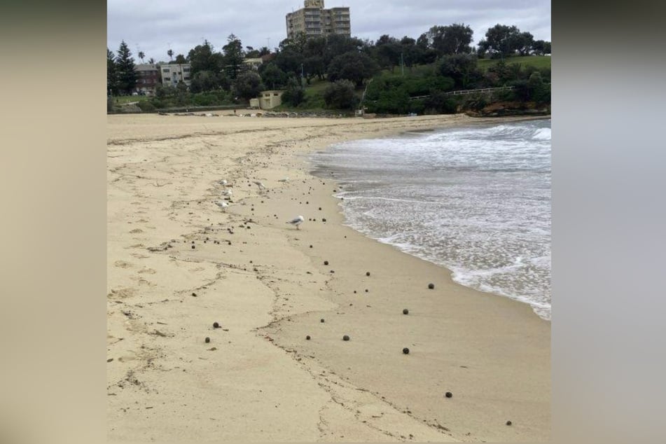 Mehrere solcher Kugeln wurden südöstlich von Sydney an Land gespült.