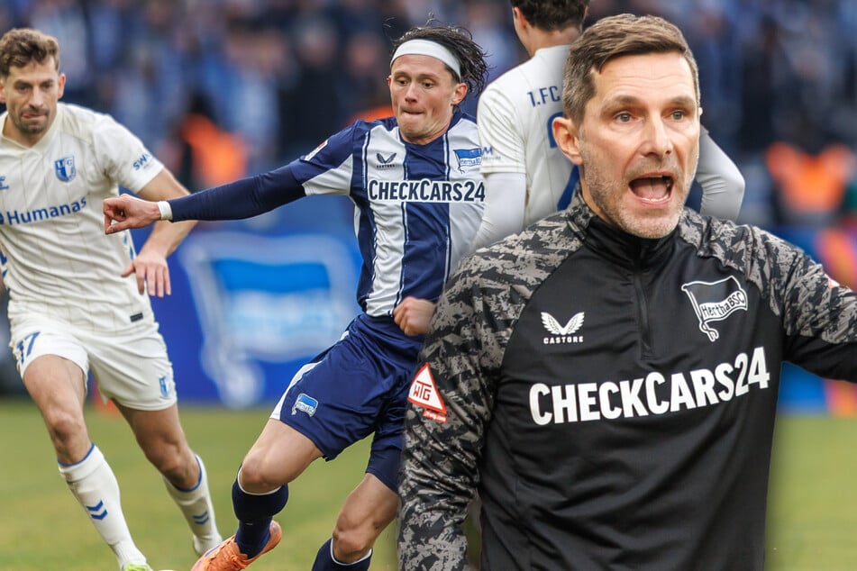 Stefan Leitl (48) will mit Hertha BSC nach dem Rückschlag gegen Magdeburg wieder drei Punkte einfahren.