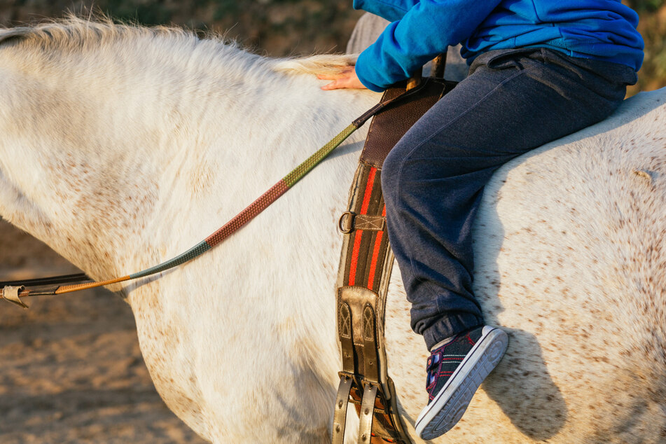 Pedro de Lima (11) ritt auf einem Pferd zur Schule und zurück, ohne sich zu verletzten. (Symbolbild)