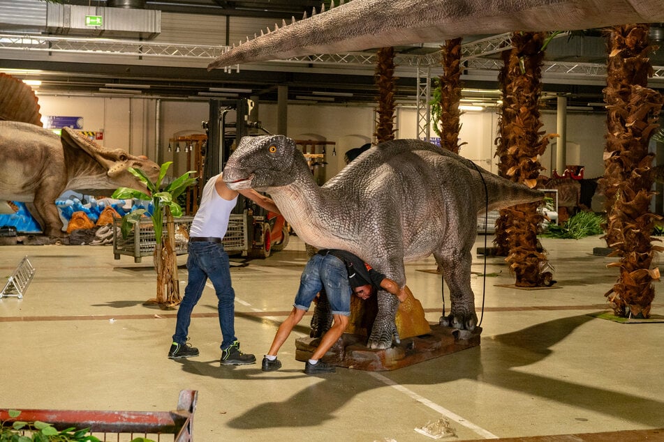 Damit neugierige Gemüter gestillt werden, gibt es außerdem an jeder Urzeitechse wie hier an diesem Iguanodon einen entsprechenden Steckbrief mit den wichtigsten Infos.