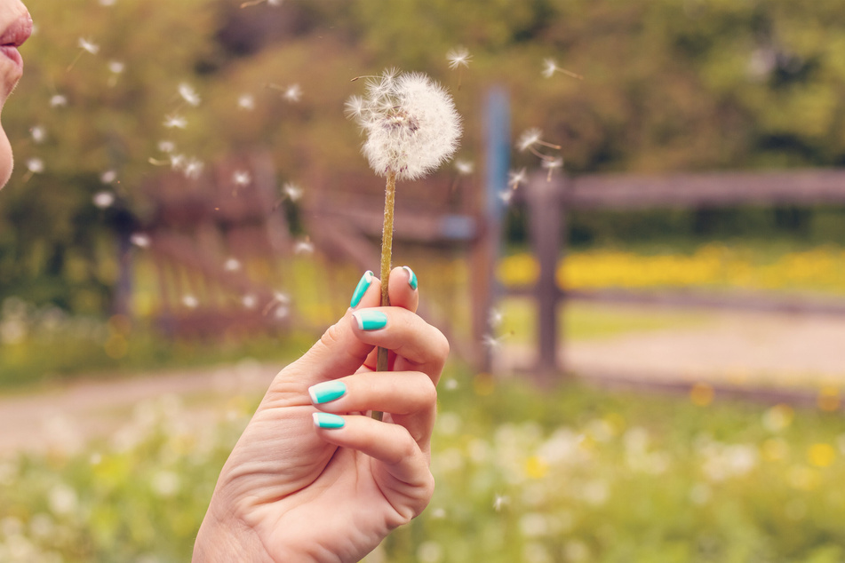 The best hay fever treatment takes a while to work, so have patience.