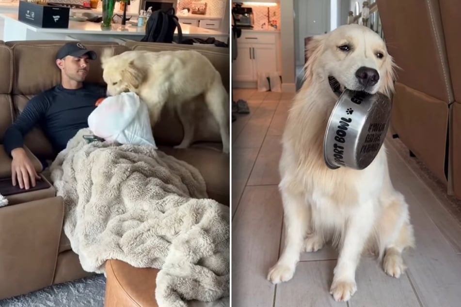 Er kann auch anders: Golden Retriever Bauer zeigt seine sensible Seite in dem Insta-Video.
