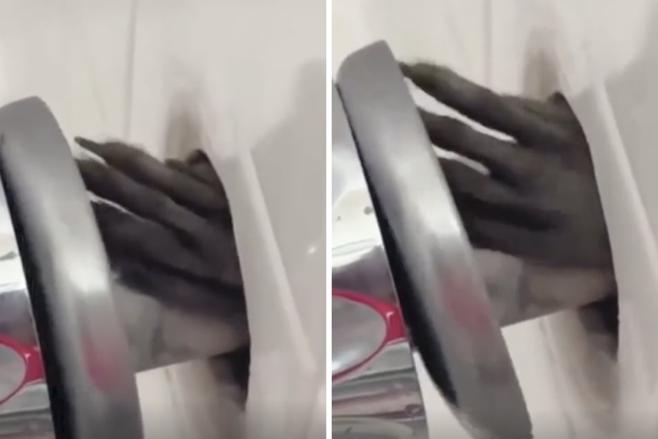 Eine Hand mit langen, schmalen Fingern fährt plötzlich aus der Wand des Badezimmers.