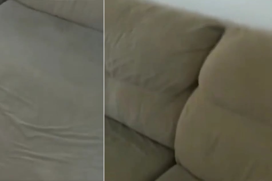 Frau kauft gebrauchte Couch: Mit dem, was sich im Inneren befindet, hat sie nicht gerechnet
