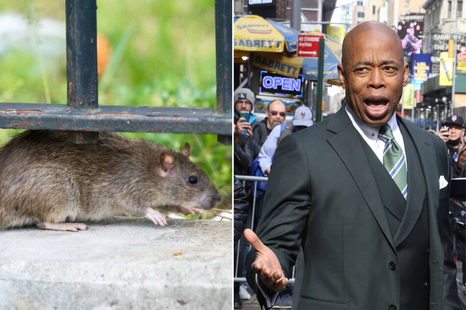 New York City mayor Eric Adams targets rodent problem with "rat czar"