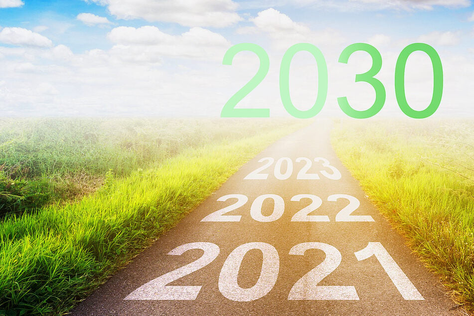 "2030, let's go!" says Williams, when asked about emissions and stopping climate change (stock image).