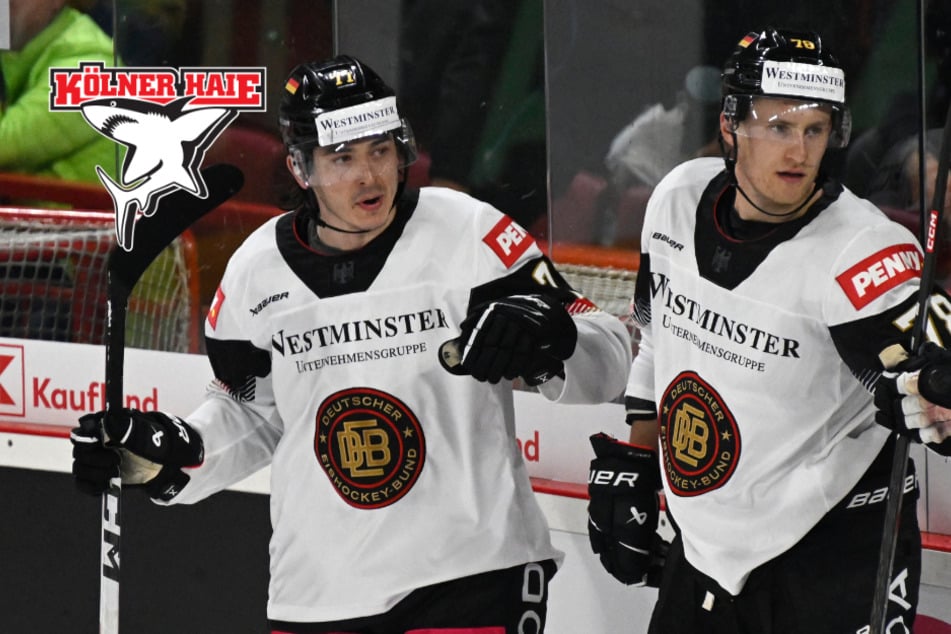 Transfer-Hammer in der DEL: Kölner Haie schnappen sich Nationalspieler