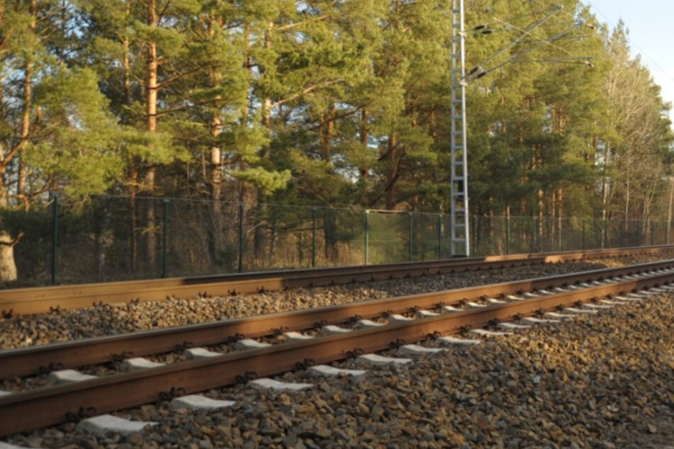 An Bahngleisen in Neuburg an der Donau sind drei enthauptete Katzen gefunden worden. (Symbolbild)
