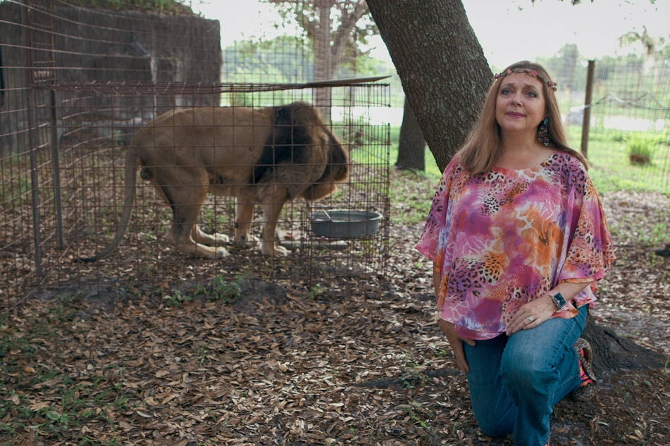 Carole Baskin filmed the Netflix series Tiger King to bring attention to her animal activism, but she was soon accused of killing her husband Don Lewis.