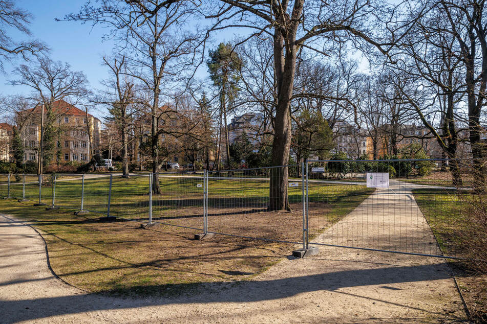 Noch eine Baustelle: der Hermann-Seidel-Park in Striesen.