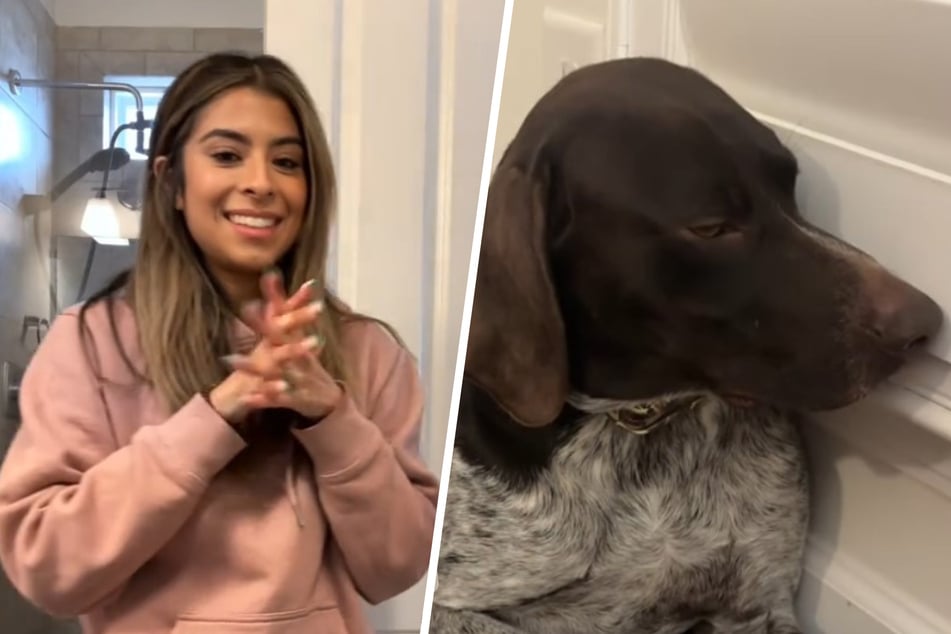 This dog's reaction to a painful manicure has millions laughing.