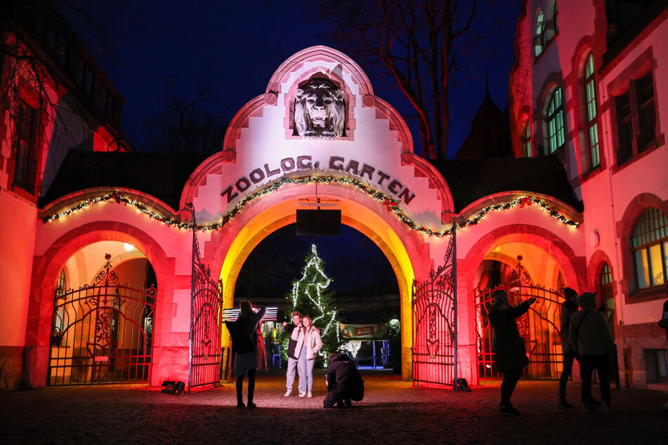 Der Leipziger Zoo kann im Dunkeln strahlen.