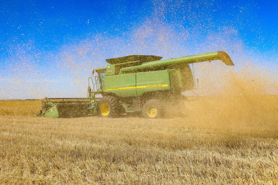 Ein Mähdrescher erntet Getreide auf einem Feld in der Region Odessa im Süden der Ukraine. Ob Russland in sein Ergebnis die eroberten ukrainischen Anbauflächen einbezieht, ist unklar.