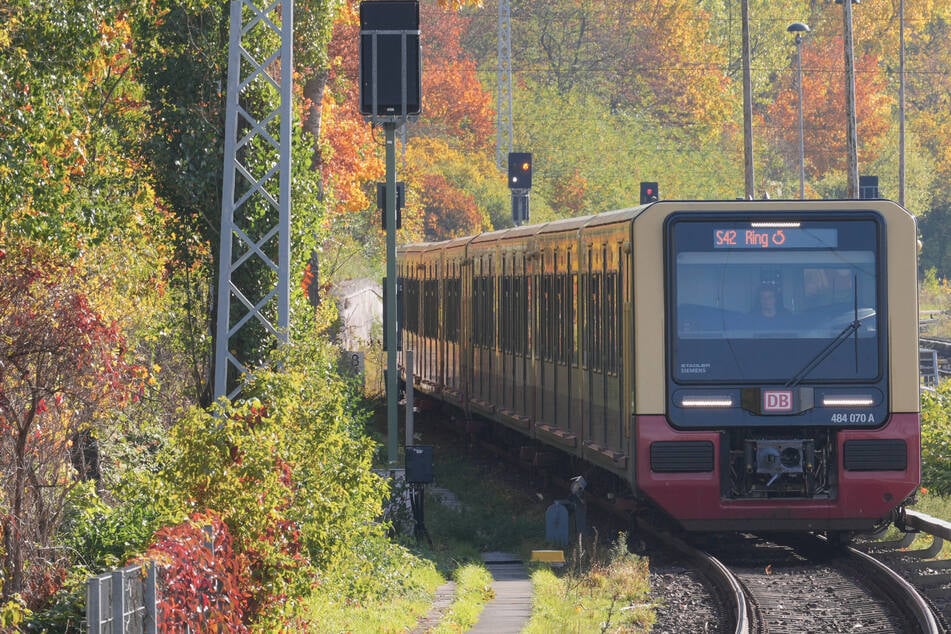 Berlin: S-Bahn Berlin: Auf diesen Linien gibt es Ersatzverkehr bis Montagmorgen