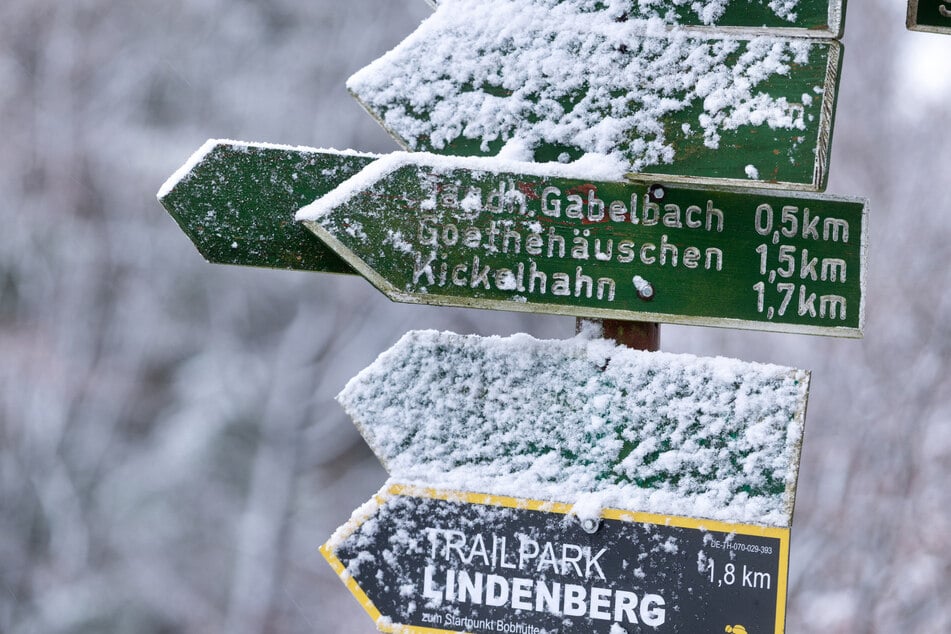 Bis zu 23 Zentimeter Schnee im Thüringer Wald