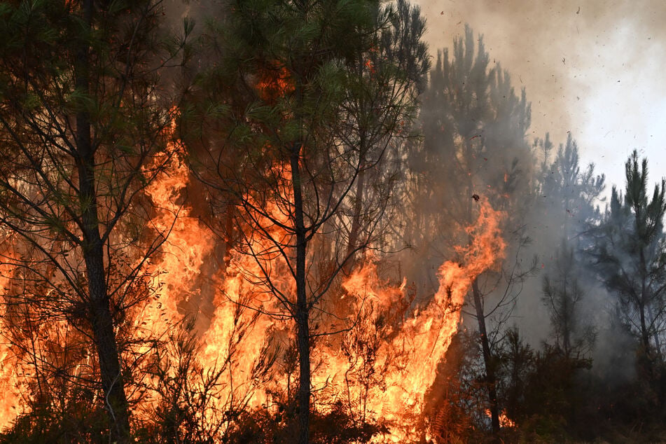 Im Südwesten Frankreichs lodern die Flammen zwischen den Bäumen hervor.