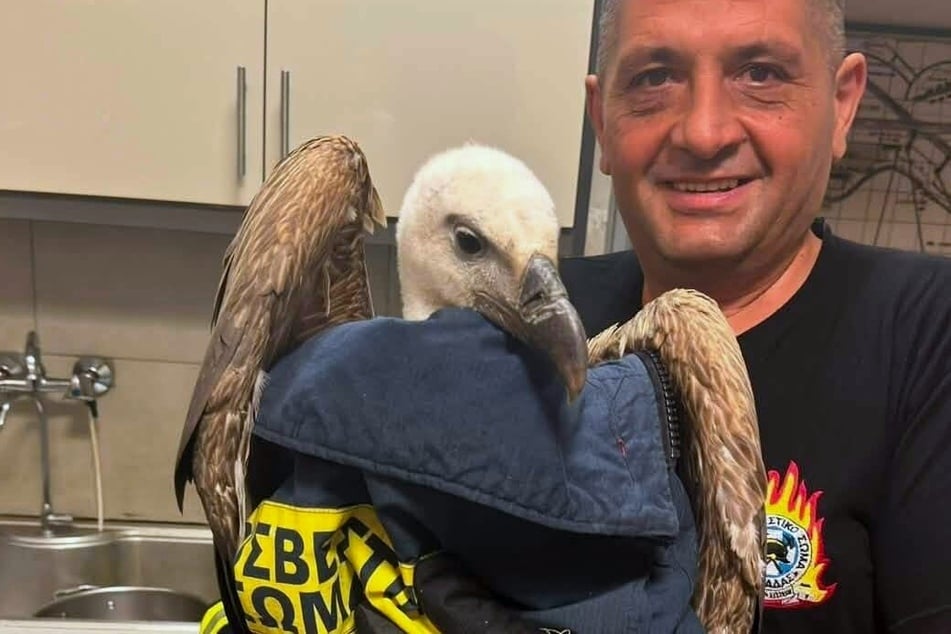 Der junge Gänsegeier verhielt sich während der gesamten Aktion sehr ruhig - selbst als die Feuerwehrleute ihn eingehüllt in der Jacke hochhoben.